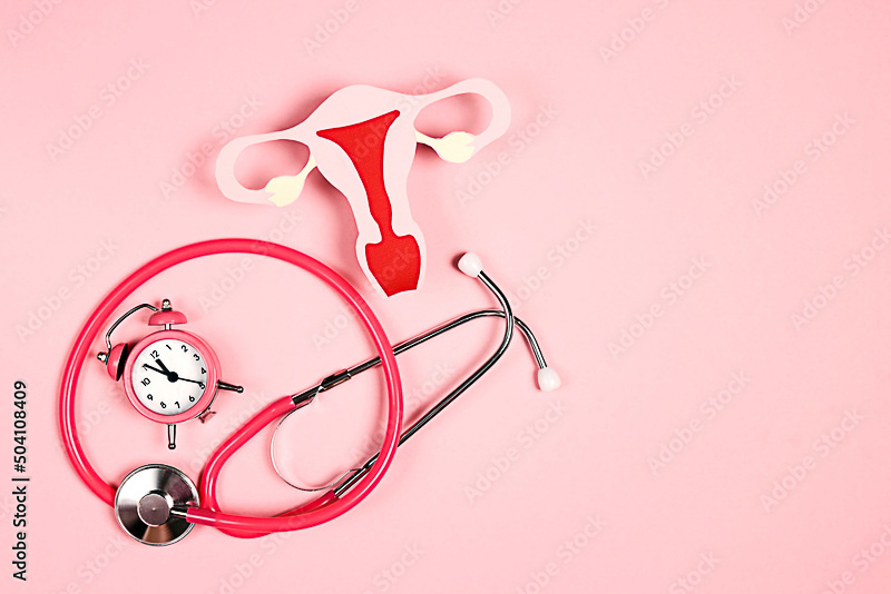 Terapia Hormonal para Menopausa