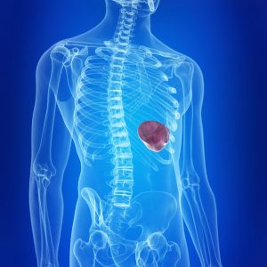 esplenectomia