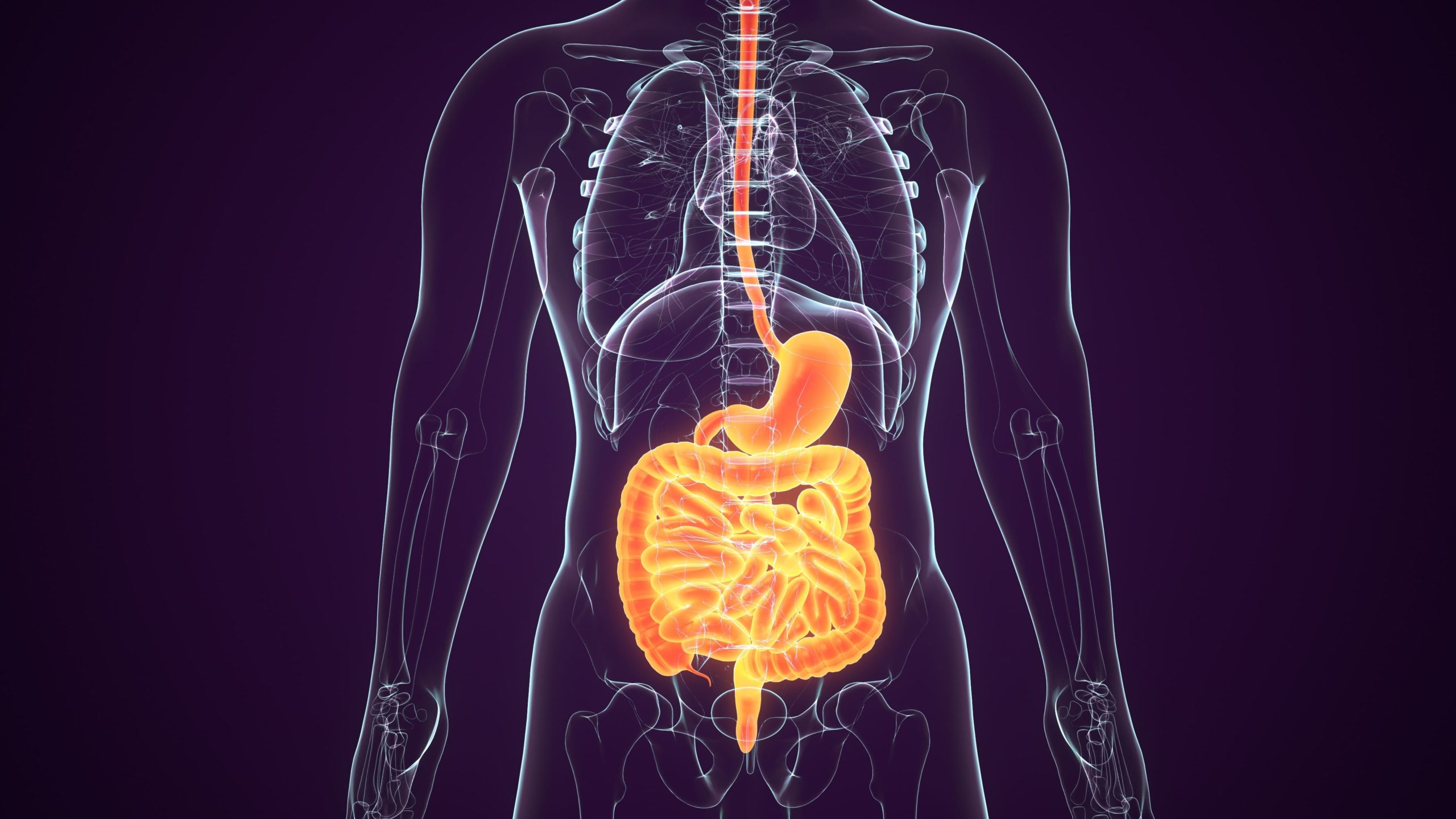 Tumor Estromal Gastrointestinal