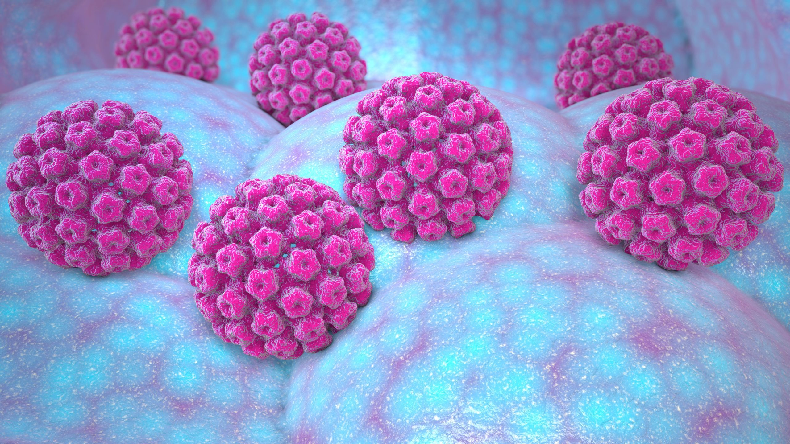 HPV