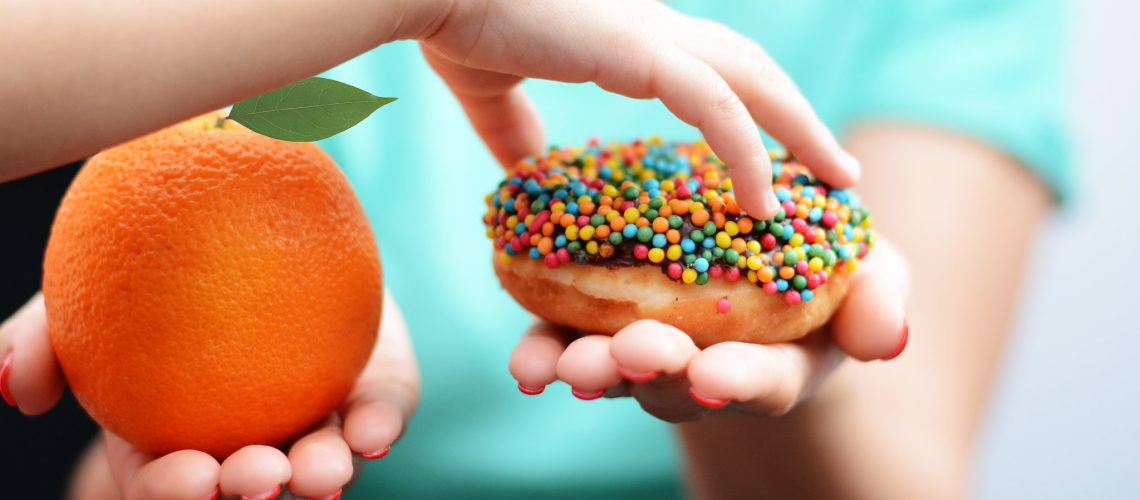 alimentação