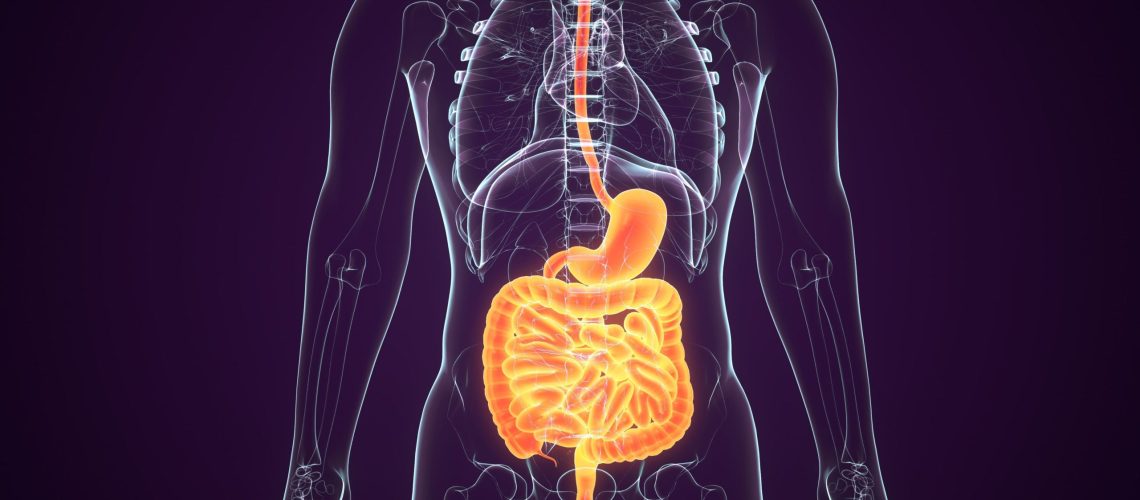 Tumor Estromal Gastrointestinal