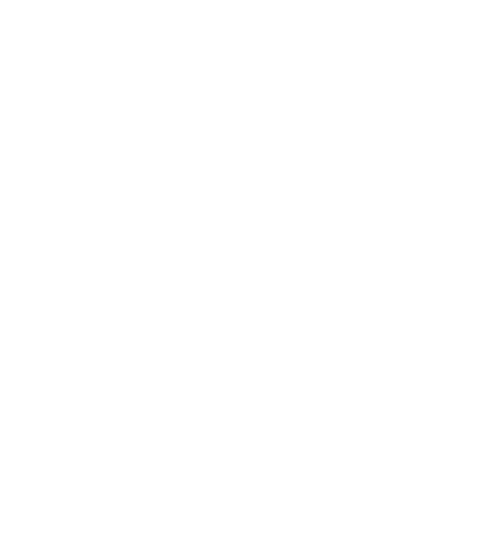 obesidade