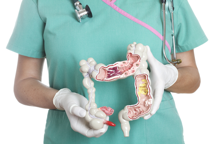 intestino