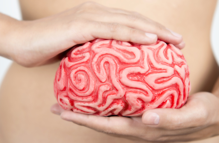 eixo intestino e cérebro