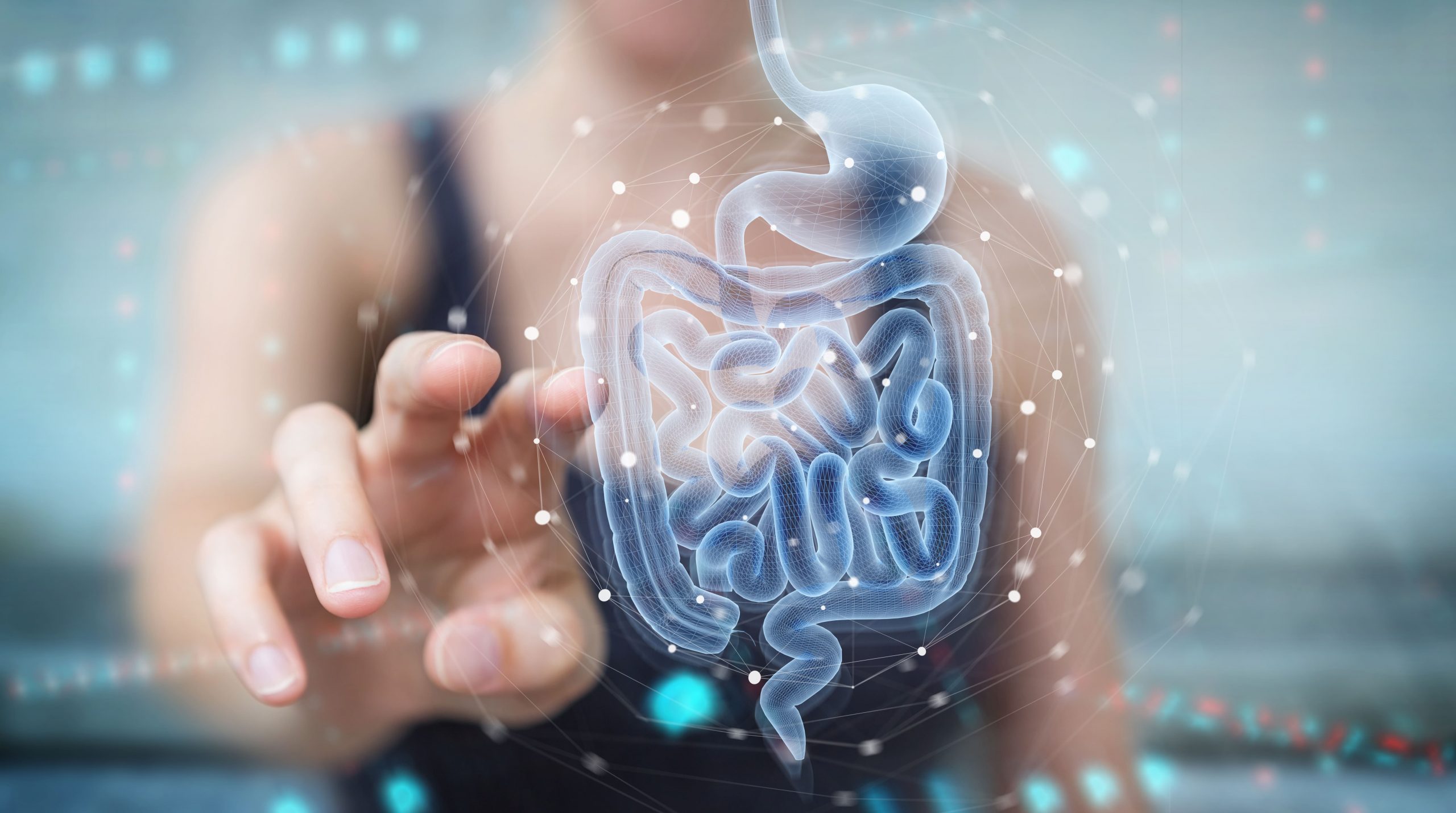 Microbiota Intestinal