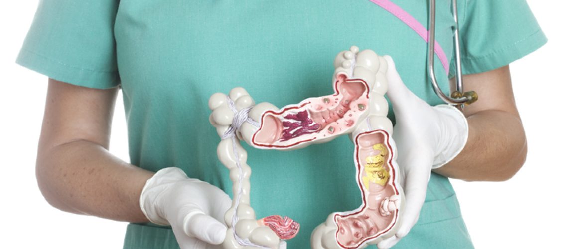 intestino