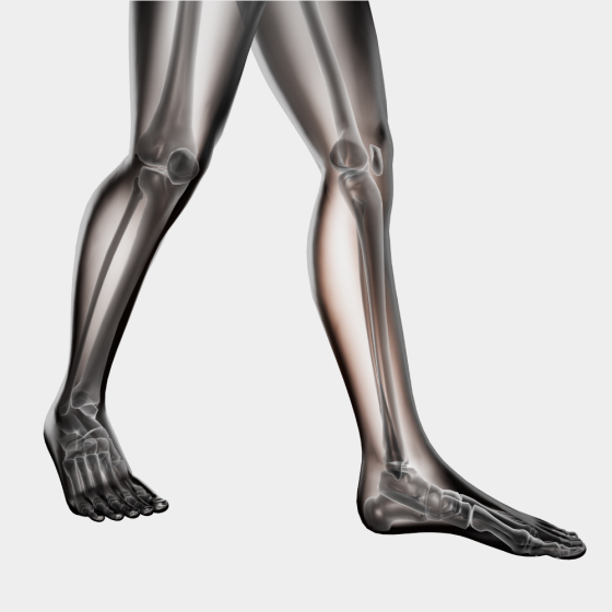 Knee-02.png